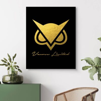 b6e6af2969fdc05f58cb84f46f651f5c - VanossGaming Merch